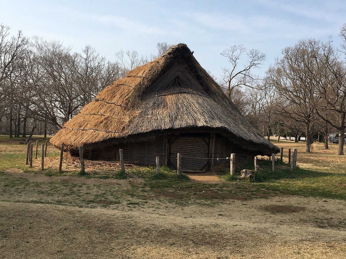 🏛️ 치바 시립 가소리 패총 박물관(지바 시리쓰 가소리 가이즈카 하쿠부쓰칸) 이미지 7